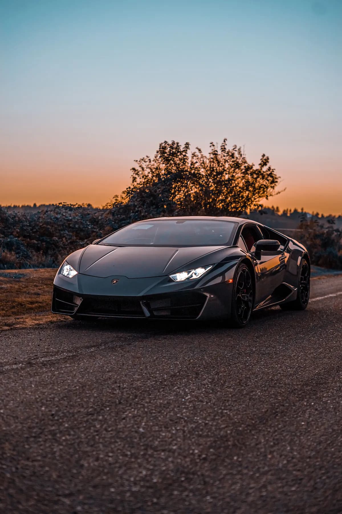 A dark supercar stopped at the edge of an empty road, headlights on, a low orange sun and a bare tree behind it.
